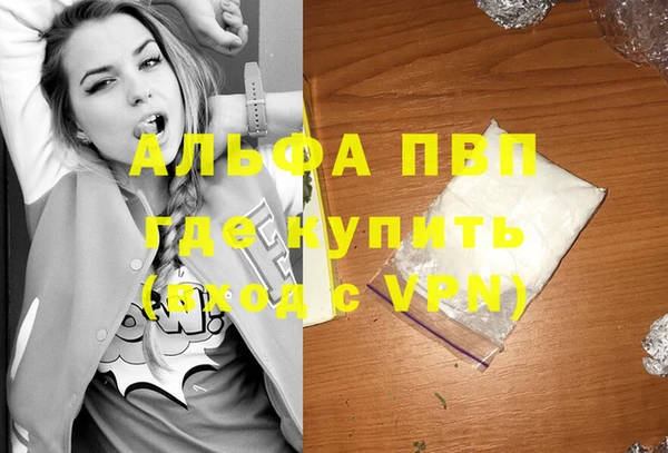 дмт Абаза