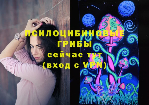 мяу мяу мука Абинск