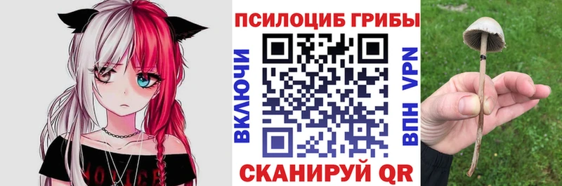 Галлюциногенные грибы GOLDEN TEACHER  Томилино 